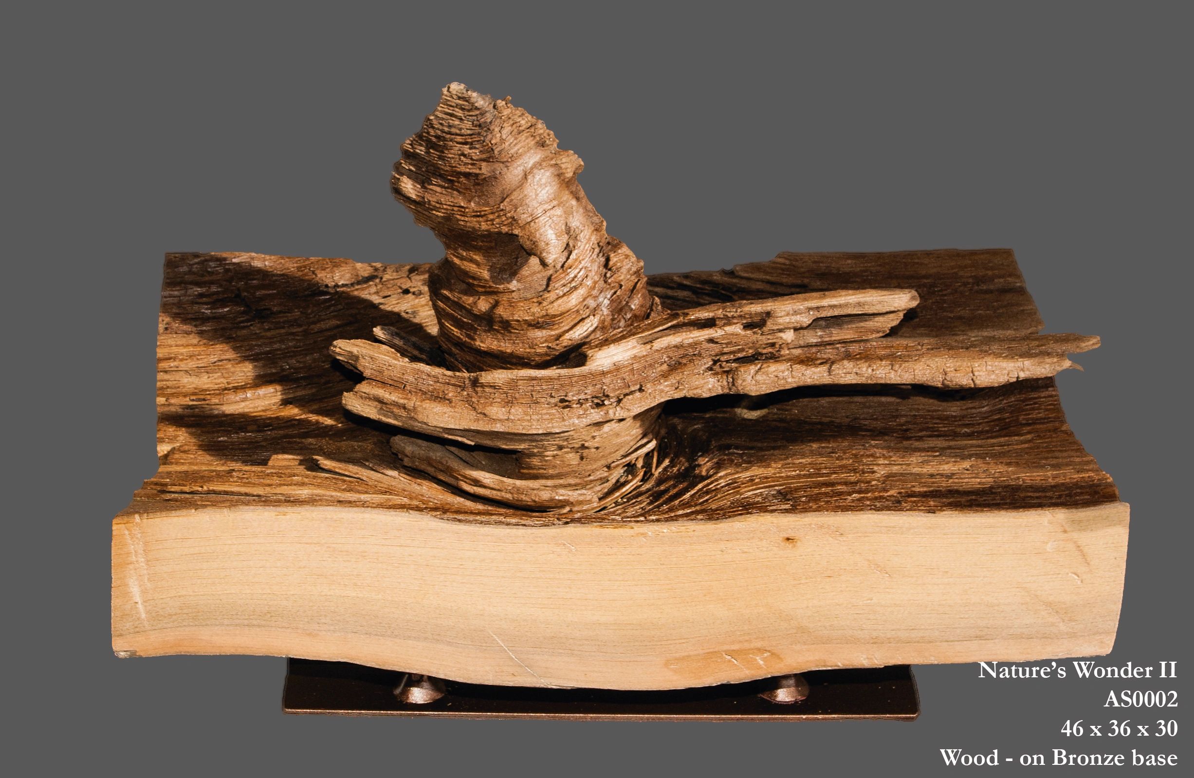 Ocean wood sculpture 6
