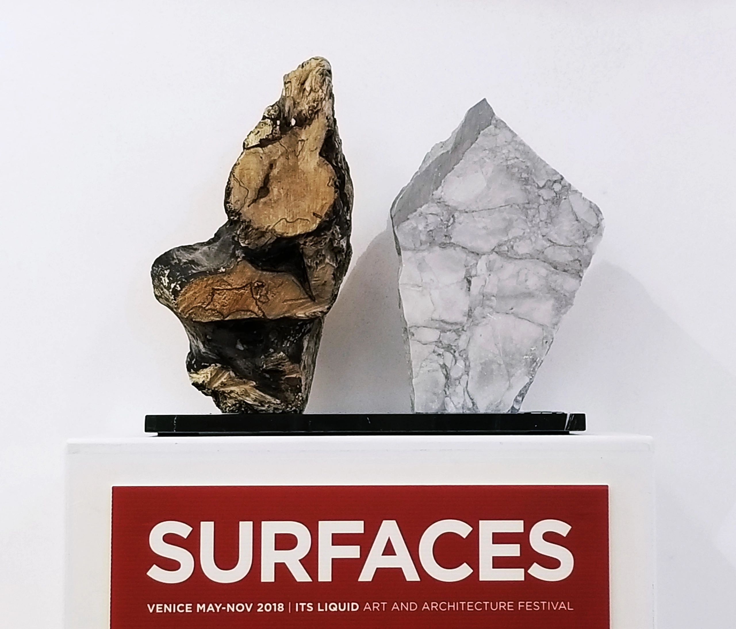 Surfaces Venice 2018